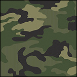 camouflage zelen