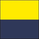 žlutá / tmavě modrá (navy) žlutá / tmavě modrá (navy)