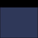 tmavě modrá (navy) / černá tmavě modrá (navy) / černá