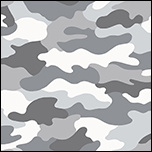camouflage (edo-bl)