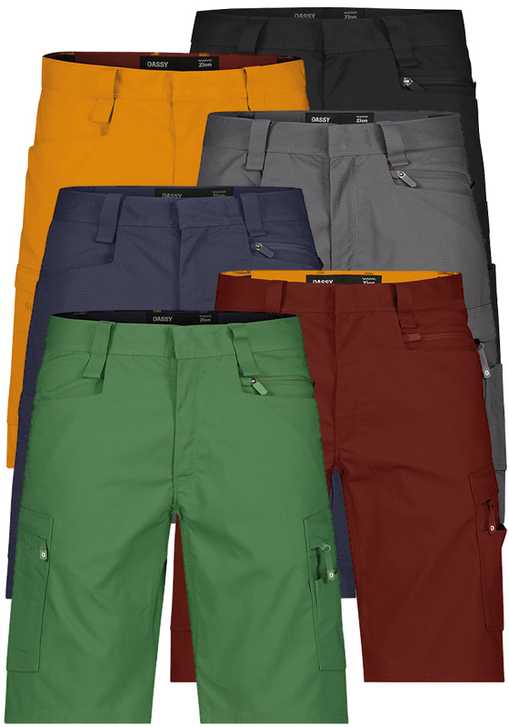 Krátké montérkové kalhoty DASSY ZION - 250